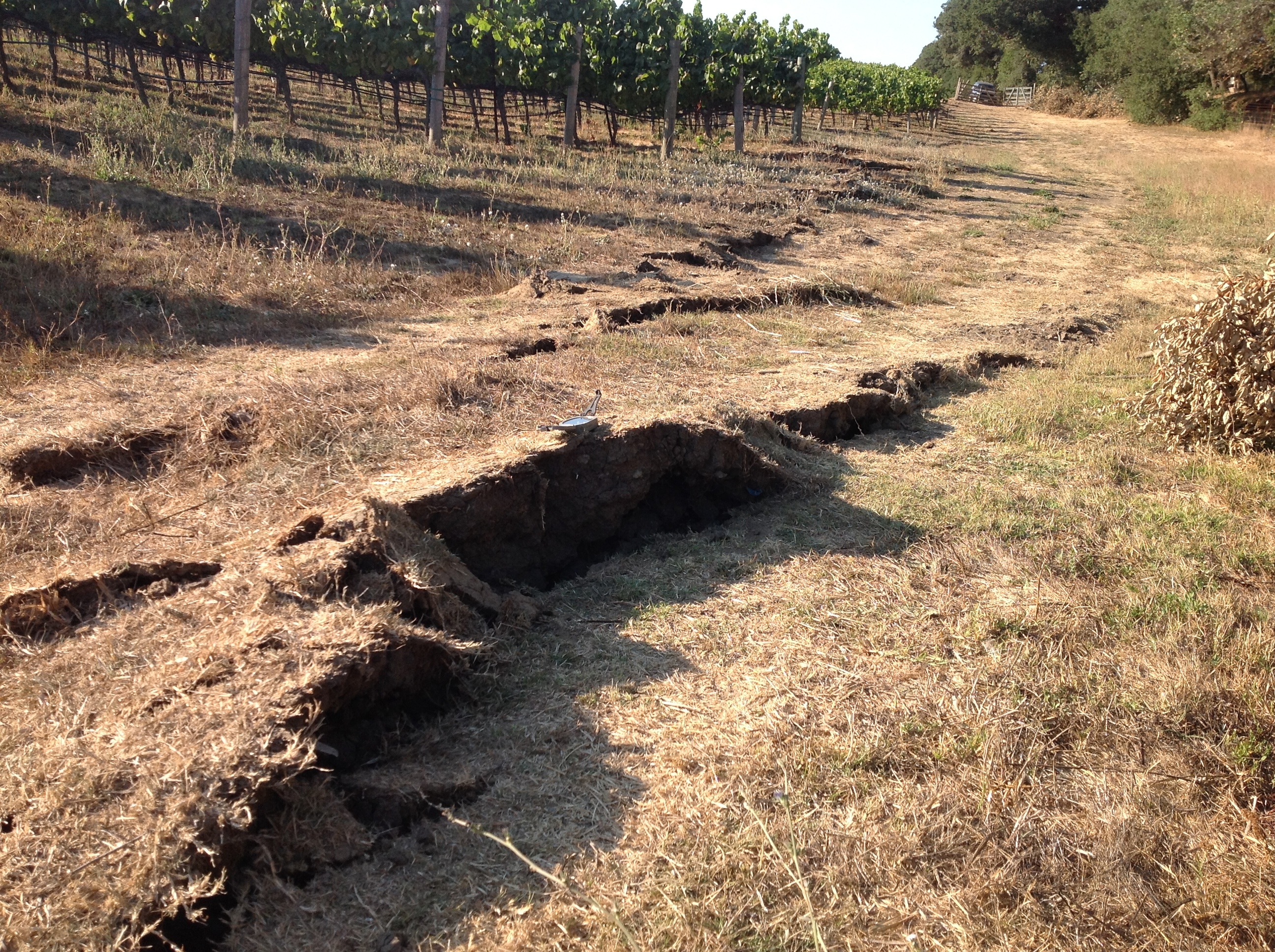 Damage on road caused by 2014 Napa quake